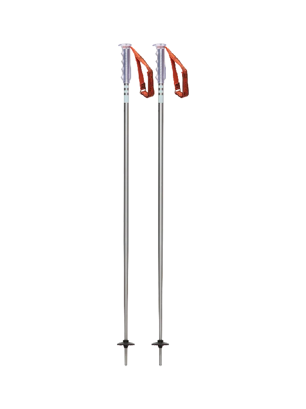 Primer Ski Poles